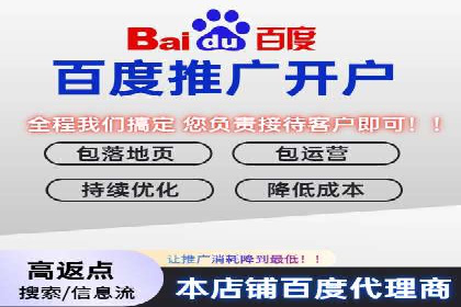 SEM代运营案例：优化搜索排名策略